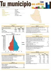 Boletín Tu Municipio en Cifras Cibao Norte Santiago Licey al Medio 2016