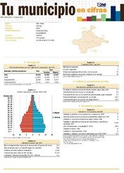 Boletín Tu Municipio en Cifras Cibao Norte Santiago Puñal 2016