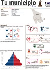 Tu municipio en cifras - Pedro Brand