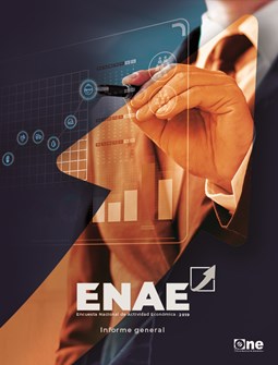 Encuesta Nacional de Actividad Económica (ENAE) 2019 Informe general.