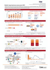 Boletín importaciones enero-junio 2021