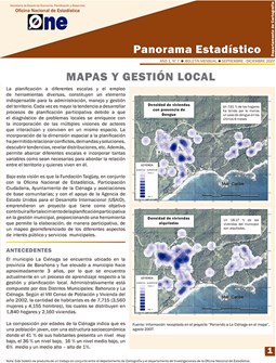 Boletín Panorama Estadístico 07 Mapas y Gestión Local Septiembre-Diciembre 2007