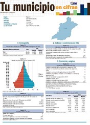 Boletín Tu Municipio en Cifras Higuamo-San Pedro de Macorís-Consuelo 2018