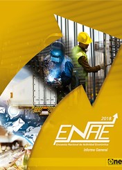 Informe Anual Encuesta Nacional de Actividad Económica 2018