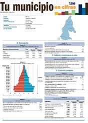 Boletín Tu Municipio en Cifras Higuamo-San Pedro de Macorís-Los Llanos 2018