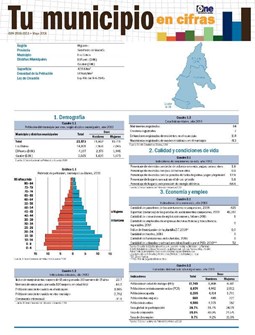 Boletín Tu Municipio en Cifras Higuamo-San Pedro de Macorís-Los Llanos 2018