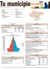 Boletín Tu Municipio en Cifras Valdesia Azua Las Yayas de Viajama 2016