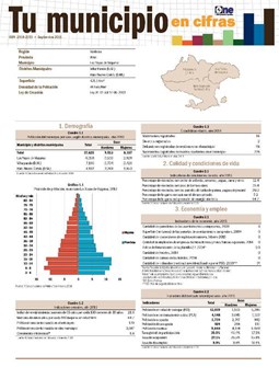 Boletín Tu Municipio en Cifras Valdesia Azua Las Yayas de Viajama 2016