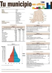 Boletín Tu Municipio en Cifras Valdesia Peravia Baní 2016