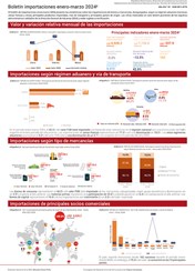 Boletín importaciones enero-marzo 2024