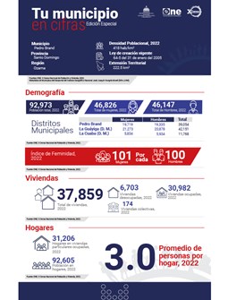 TU MUNICIPIO EN CIFRAS Pedro Brand