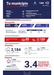 TU MUNICIPIO EN CIFRAS Pedro Santana