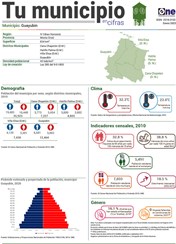Tu municipio en cifras - Guayubín